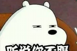 阳信专业催债公司的市场需求和前景分析